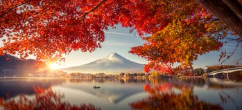 Momiji Herbstlaubfärbung Japan