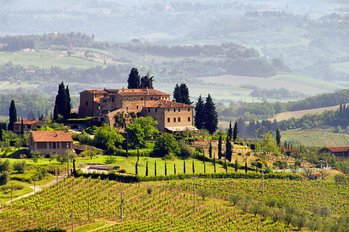 Rundreise durch Italien: Weinberge in der Toskana