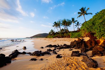 Makena Beach: Strand, feiner Sand und Palmen auf Hawaii
