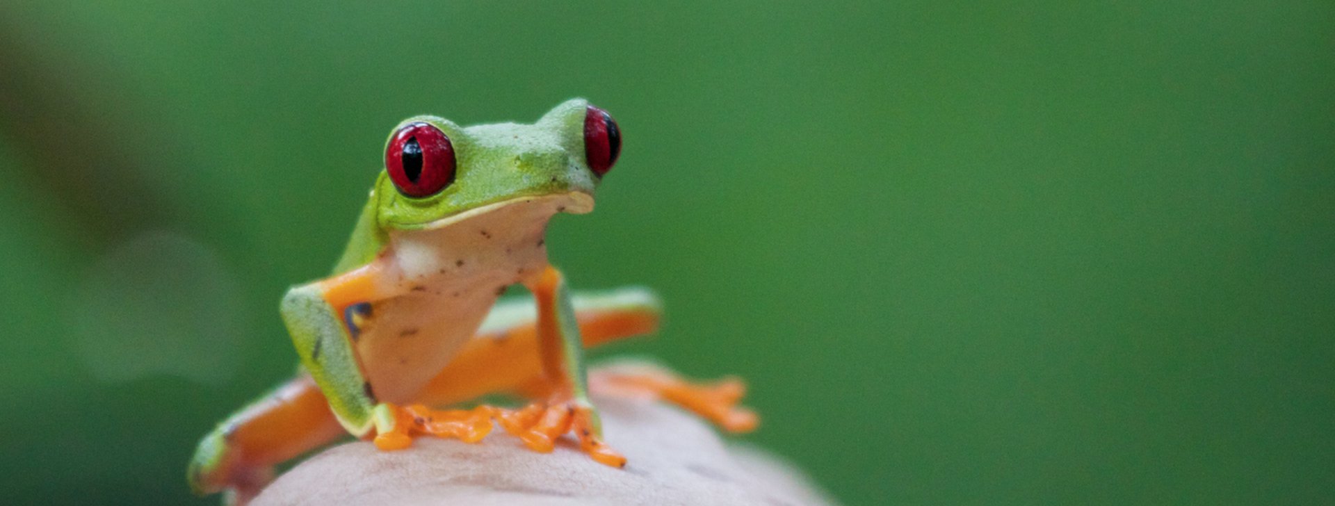 Reiseziele Costa Rica