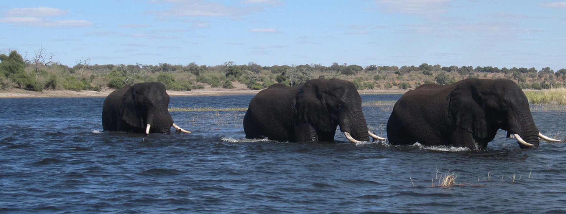 Reiseziele Botswana