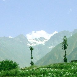 Pakistan