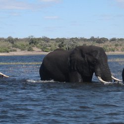 Botswana