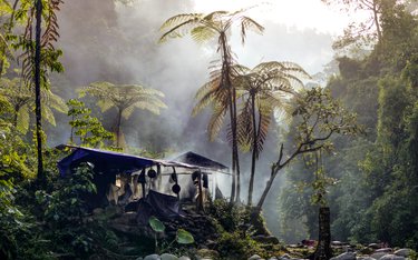 Rundreise mit Reisen Exklusiv durch: Asiens Kontraste: Sumatras Dschungel & funkelnde Skylines!