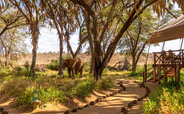 Rundreise mit Reisen Exklusiv durch: Kapstadt, Kenia & Sansibar: Safari Nights to Island Vibes
