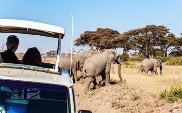 Rundreise mit Reisen Exklusiv durch: Kenia & Tansania: Wildlife Glamping trifft Inselparadies