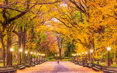 Rundreise mit Meiers Weltreisen durch: Manhattan Express & Florida Sunshine State inkl. Badeverlängerung (Standard)