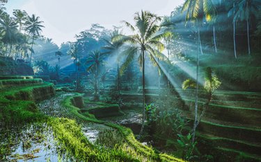 Rundreise mit Reisen Exklusiv durch: Bali Adventure: Inselhopping zum blauen Vulkanfeuer