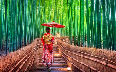 Rundreise mit Chamäleon durch: Kyoto