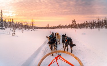 Rundreise mit Reisen Exklusiv durch: Winterabenteuer Lappland