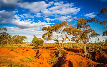 Rundreise mit Lernidee Erlebnisreisen durch: Auf Schienen durch die Weiten Australiens (2023/2024)