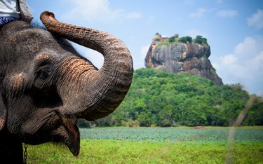 Rundreise mit Reisen Exklusiv durch: Sri Lanka with Friends: Dschungelbuch & Inselabenteuer