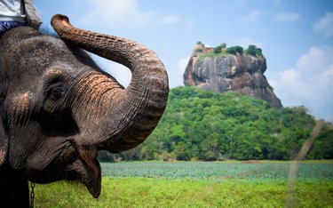 Rundreise mit Reisen Exklusiv durch: Sri Lanka with Friends: Dschungelbuch & Inselabenteuer
