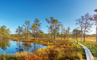Rundreise mit Reisen Exklusiv durch: Lettland & Estland: Roadtrip ins Ostsee-Abenteuer