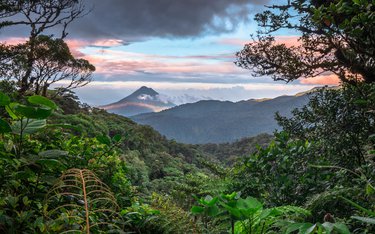 Rundreise mit Chamäleon durch: Monteverde