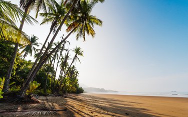 Rundreise mit avenToura durch: Costa Rica real