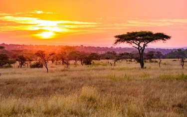Rundreise mit Reisen Exklusiv durch: Südafrika & Mauritius: Wildlife Glamping trifft Island Adventure