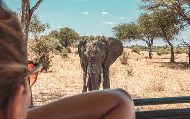 Rundreise mit Reisen Exklusiv durch: Tansania & Sansibar: Glamping unter den Big Five