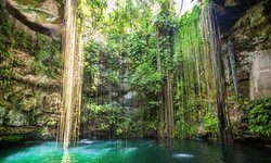 Cenote Ik Kil  in Yucatan / Unterwasserhöhle Mexiko