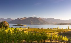 Südinsel Neuseeland Rundreise: Sonnenaufgang über einem Weingut am Lake Wannaka.