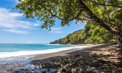 Strand und Meer trifft auf Dschungel und Urwald: Im Corcovado Nationalpark während einer Costa Rica Rundreise