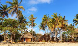 Afriak Rundreise und baden: Palemnstrand auf der Trauminsel Sansibar / Tansania