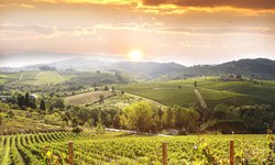 Panorama der Kulturlandschaft Toskana: Weinberge im Chianti bei Sonnenuntergang